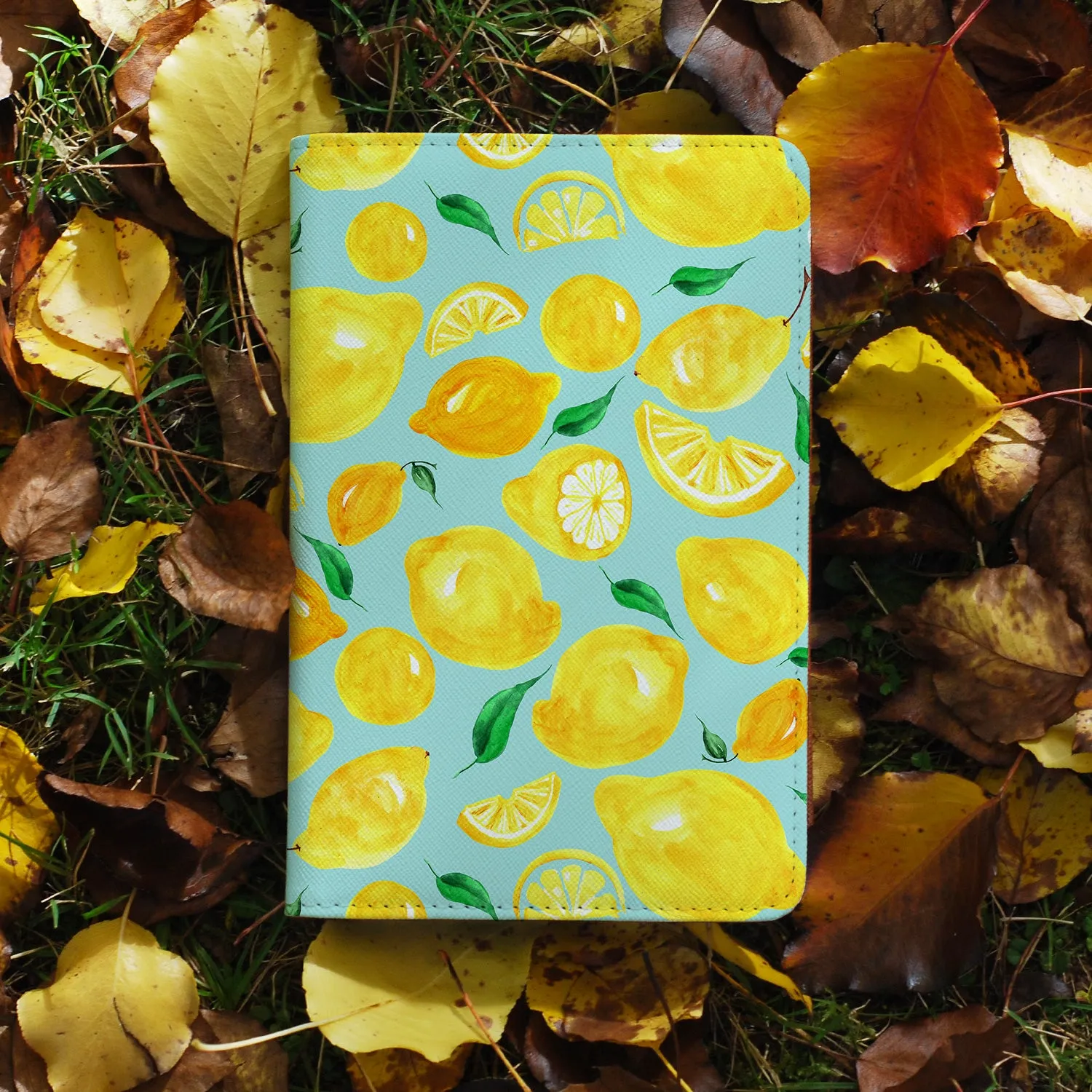 Travel Wallet - Fruit