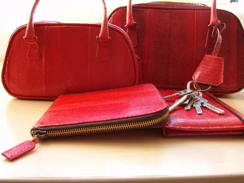 Trusted by customers Skin Collections Privacy-first Snake